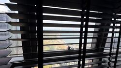 V On Shenton (D1), Apartment #564734141